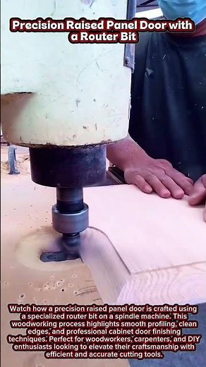 Precision Raised Panel Door with a Router Bit #craftsmanship #wood #woodworking