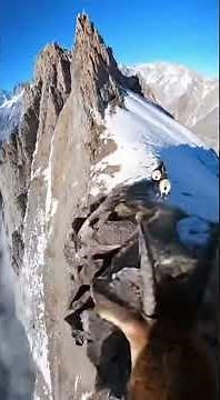 Mountain Goats POV: Relax and Watch | #goat #chill #asmr