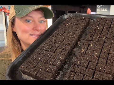 Growing Lisianthus from Seed : Tips & Tricks : Let the Season BEGIN: Flower Hill Farm