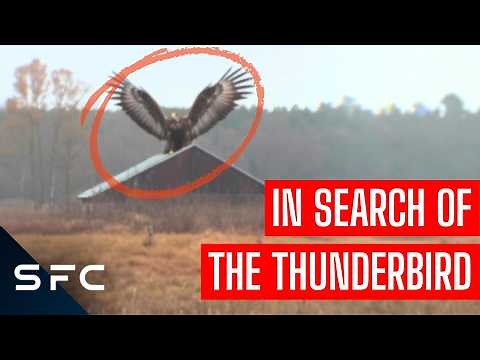 Thunderbird: Giant Prehistoric Bird Terrifying Pennsylvania | Boogeymen | S2 Ep2 | Full Documentary