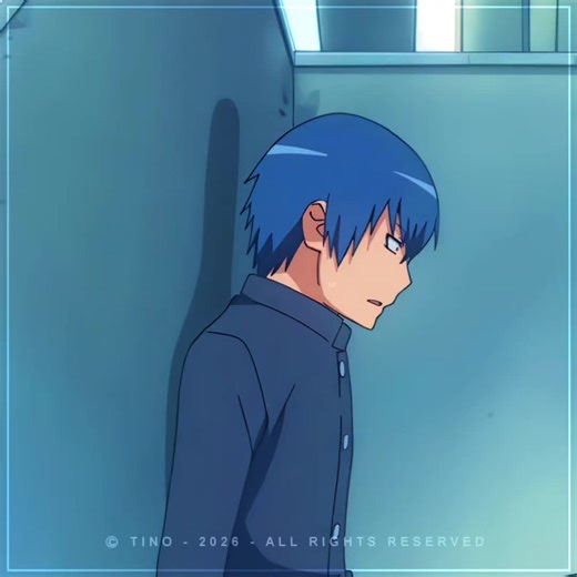 Toradora Characters: Taiga and Ryuuji's Memorable Moments