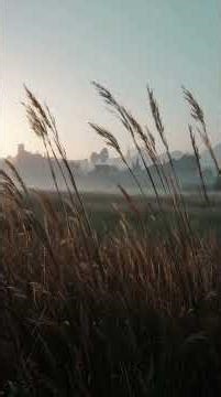 Sleep to this Angelic Voice (Slow) - Full 👆🏼 #youtubeshorts #relaxing #relaxingmusic #shorts #music