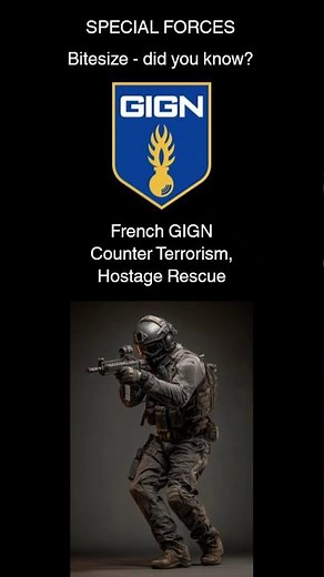 GIGN French Special Forces - Counter terrorism Hostage Rescue