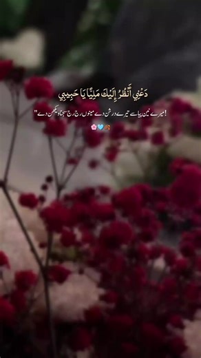 Unfreeze My TikTok Account Request