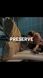 15K views |  See global Archaeology in Action & unravel the mysteries of the past, from Ancient Egypt to 19th-century Philadelphia  | Penn Museum | Facebook