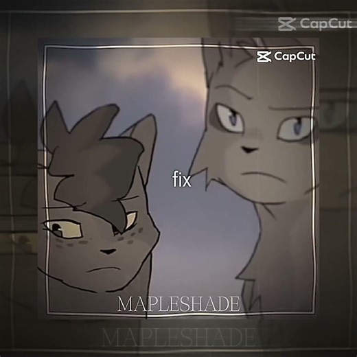 We are warriors. #mapleshade_lover_fan #edit #warriorcats #wc