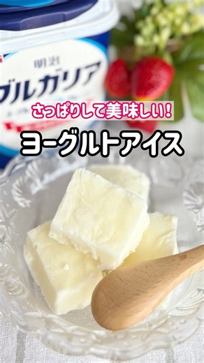シャリシャリ食感【ヨーグルトアイス】