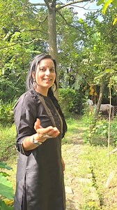 4.3M views · 10K reactions | Jadui Fruit Peepal Farm Products Tuni ke ped per yeh beej phal kabhi dekha hai? #peepalfarmproducts #kahaniwalishivani #OrganicFarming #rurallife #himachalpradesh #himalayantree #redcedar #farmlife | Peepal Farm Products | Facebook