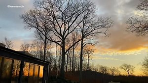 Iman shares rare picture of her daughter with David Bowie and fans go wild