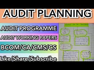 Audit planning