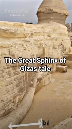 View of the Great Sphinx of Gizas tale #ancientegypt #egyptology #history #sphinxmystery