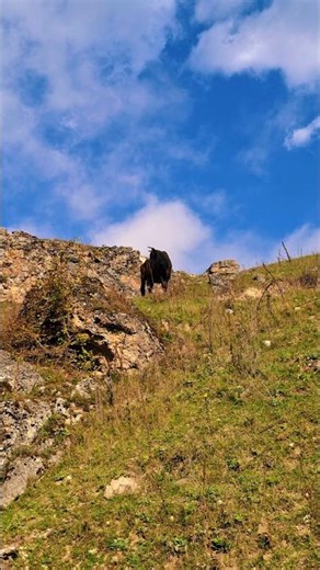 Beautiful Nature and Landscapes in 4K #4kNature #BeautifulLandscapes #NatureAndLandscapes #Scenery