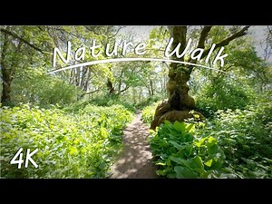 Wildflower Meadow & Woodland Walk | 4K Virtual Nature Hike | Nature Sounds
