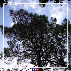 Elle est animatrice, mère de famille tout en étant très impliquée pour le bien-être animal : Karine Ferri raconte son quotidien bien rempli dans son nouveau livre, « Une vie en équilibre ». Elle et son mari Yoann Gourcuff nous ont accueillis en exclusivité chez eux en Bretagne 💫 Reportage complet à retrouver samedi à 17h50 sur TF1 | 50'inside