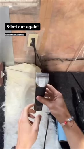 Got these detachable 5-in-1 clipper blades from a groomer that weren’t cutting properly. After a full disassembly, sharpening, and reassembly, they’re now running smooth and cutting like new again ✂️⚙️ If your blades are tugging, loading up, or just not performing like they should — bring them to Double Edge Sharpening and let’s get them back in top shape. 💪 #ClipperBladeSharpening #PetGroomingTools #BladeMaintenance #SharpeningService #DoubleEdgeSharpening #SharpToolsSharpResults | Double Edge