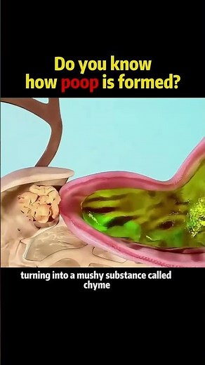 Do you know how poop is formed?#knowledge #science