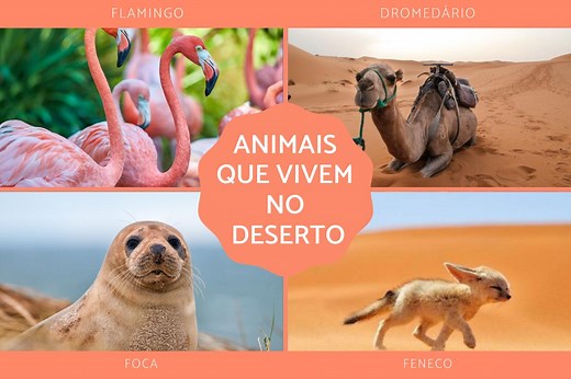 35 ANIMAIS que VIVEM no DESERTO - Características e curiosidades