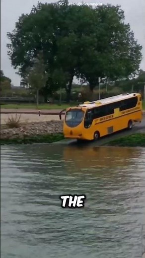 The Vehicle That Can Swim and Drive — Perfect for Cities and Lakes! 🚤
