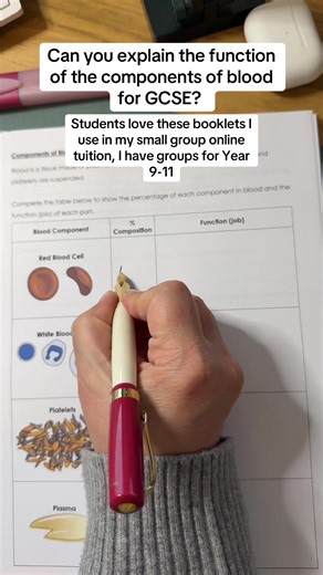 The components of blood for GCSE biology students
