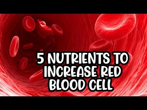 How to Increase Red Blood Cells | 5 nutrients to increase red blood cell Count and Hemoglobin