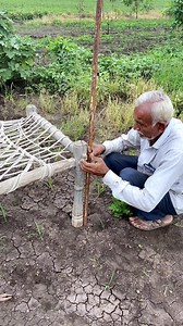 5.4M views · 42K reactions | Creative Art✨ #farm #creative #desi | A Art's | Facebook