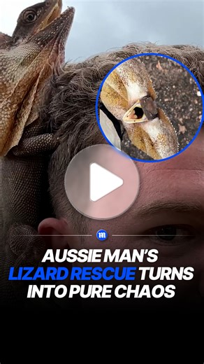Man helps lizard that climbs onto his head instead