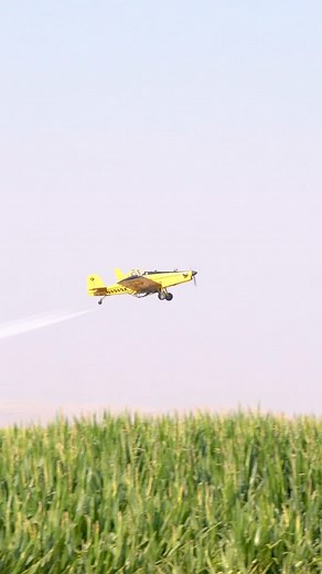 Protecting your crops to increase yield 👉 providing food security so we can continue to feed the world! #cropyield #foodsecurtiy #farming | Simplot Grower Solutions