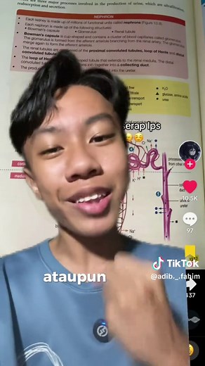 Sistem Urinari: Biologi Tingkatan 4