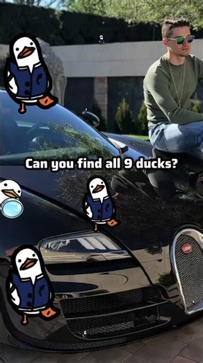 Hidden Ducks Quiz - Can You Find Every Duck in 23 Seconds? 🦆