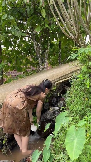 Nuju ngawasuh eceng dina curug #shorts #rismanirmalasari #suasanapedesaan #gadiscantik #gadisdesa