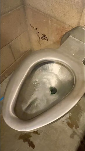 Metal Toilet Flush at the Park | Acorn Engineering 2100 Series туалет nhà vệ sinh 화장실 Inodoro トイレ 馬桶