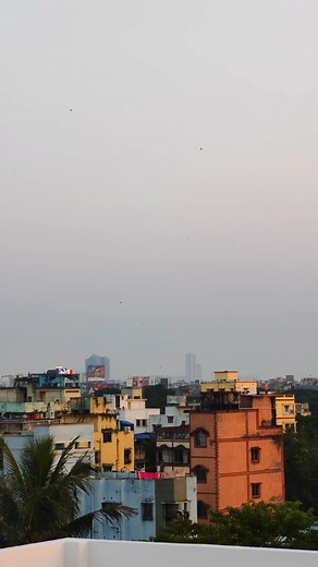 1.7K views · 3K reactions | #kite #kitelovers | Kite Premi | Facebook