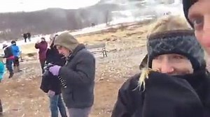 238K views · 200 shares | Geysir! #strokked #iceland #bjork | Tony Hawk | Facebook