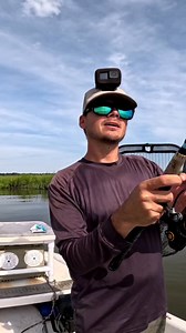 Beaufort SC Fishing Reports! https://www.patreon.com/BeaufortSCfishing #reels #fishing #beaufortsc | Beaufort SC Fishing
