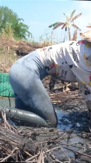 Beautiful Girl Catches Fish on a Sunny Day