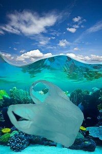 New Agreement on Plastics: What Will It Take?