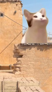 761K views · 2.9K reactions | MEOW  #EZ4ENCE #gaming #cs2 #meme #fyp | ENCE | Facebook