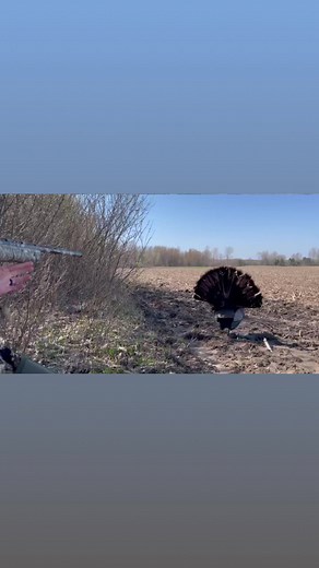 The Keefer Brothers on Reels