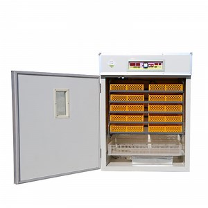 [Hot Item] Poultry Farming Equipment Automatic Quail Egg Incubator