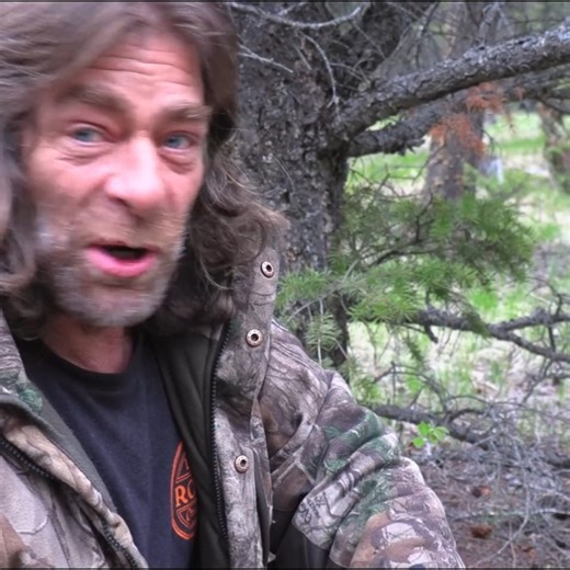 Bushcrafting Primitive Survival Fishing Hooks (That Actually Catch Fish!) _ Catch _ Cook | Ovens Rocky Mountain Bushcraft