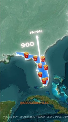 Which US State Has The Most McDonald's Locations? Texas vs. California 🇺🇸🍟#facts#history#shorts#maps