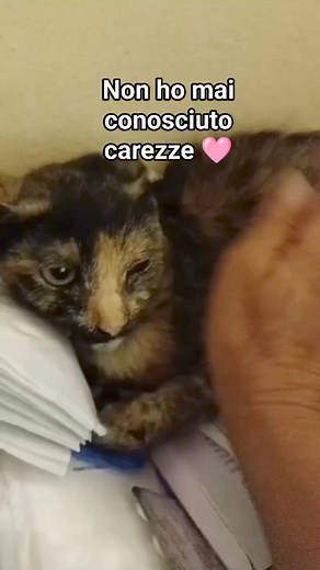 9.4K views · 480 reactions | Frosinone 339 8362187 Carolina viveva...