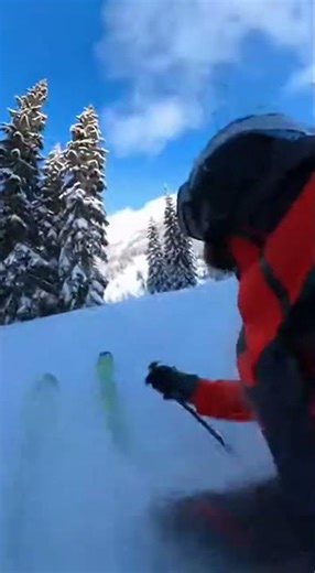 😨😰😱😱😰😨Snow tiger attacks skier #snow #snowbording #tiger #tigerattack #attack #sky #subscribe