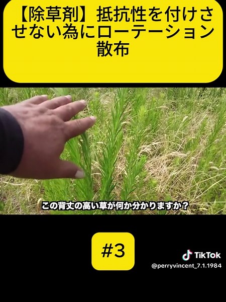 【除草剤】抵抗性を付けさせない為にローテーション散布 #fyp #foru #videoviral #雑草 #除草剤 #オヒシバ #ラウンドアップ #竹 #竹伐採 #放置竹林 #竹林整備 #自然音ASMR #伐採作業