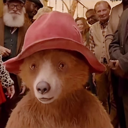 Adorable Baby Paddington - Aunt Lucy & Uncle Pastuzo's Nephew