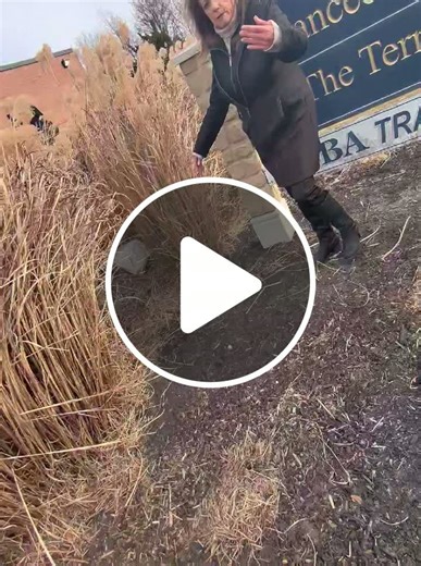 Ruby Tuesday fired a manager after he worked Christmas Day. A month later, the decision is still haunting them - NewsBreak