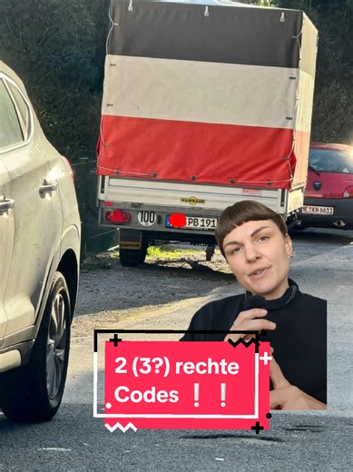 ➡️ 2 (oder 3???) rechtsextreme Codes | flag code