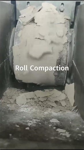 Roller Compactor Dry Granulator Making Granule from Powder