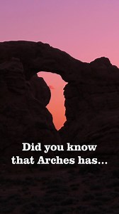 You will fall in love with Moab's historic views and deep history. Book a guided arches tour today. | Moab Adventure Center