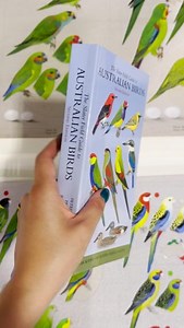 1.5K views · 41 reactions | For the bird lover in your life. 列 The...